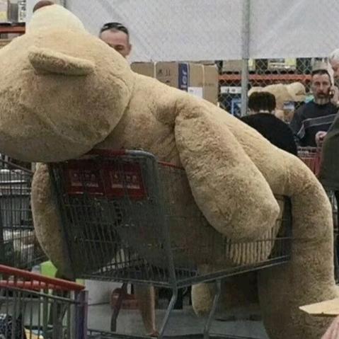 摸鱼摆烂享受生活