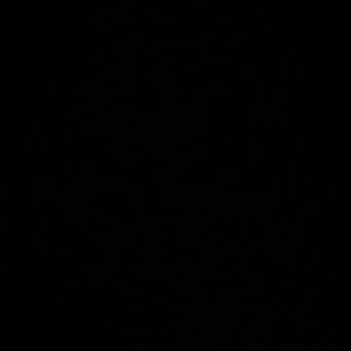 空白头像