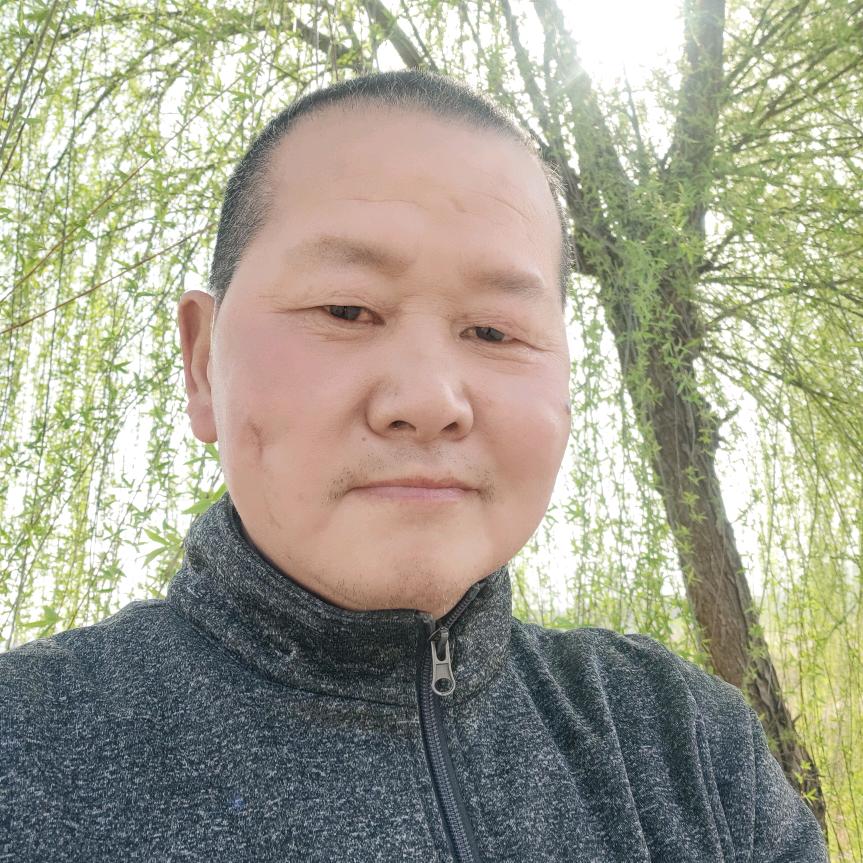 唐四哥