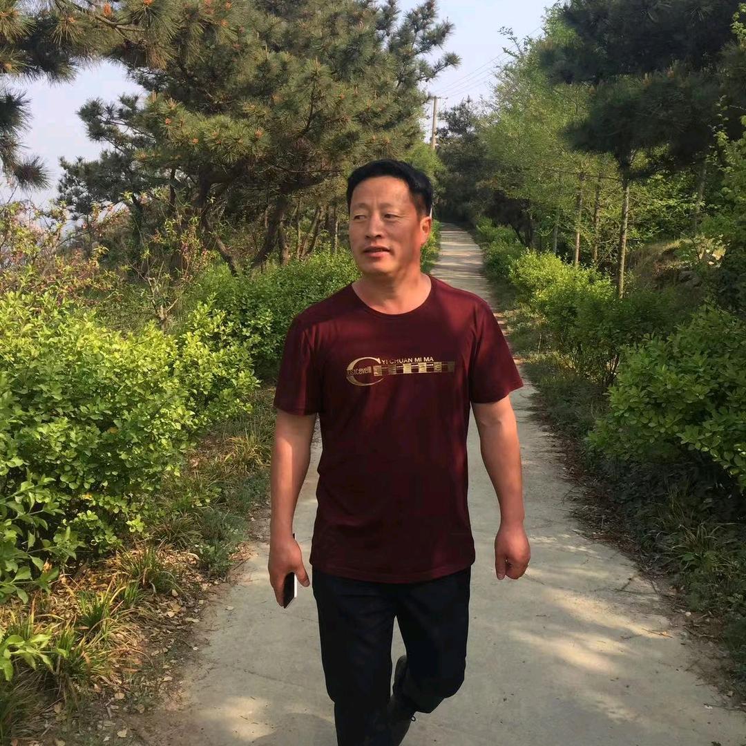会飞的🐠