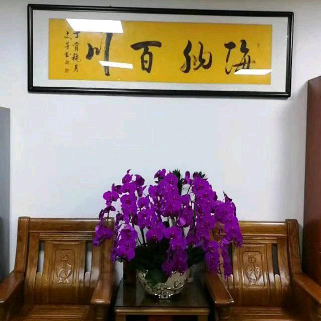 (鑫高鞋厂)老二