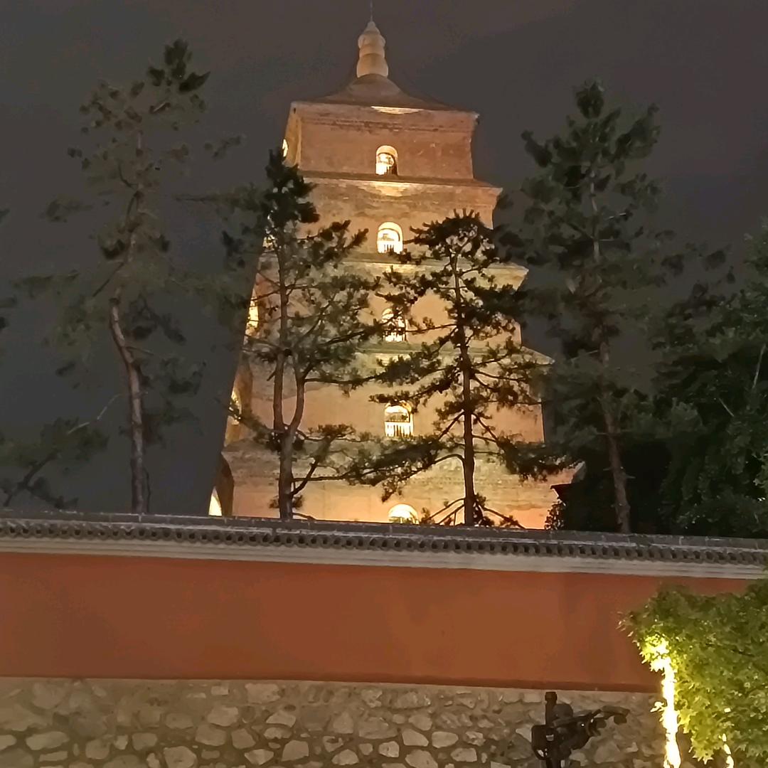 Qყ.行止