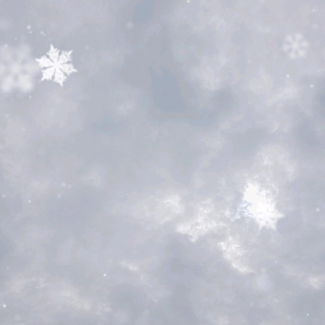 现实生活，生活现实。