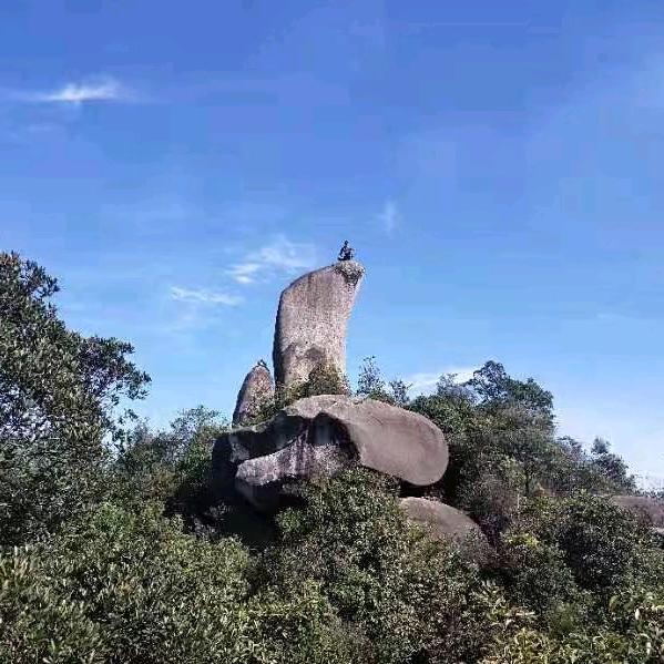 喜欢爬山小龙
