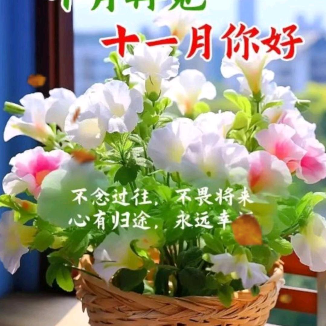 曹华