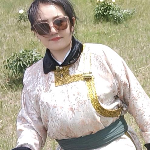 高高斯琴