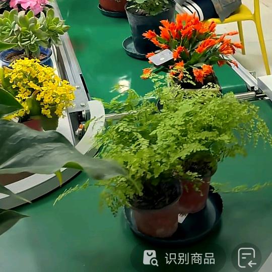 W开心过好每一天