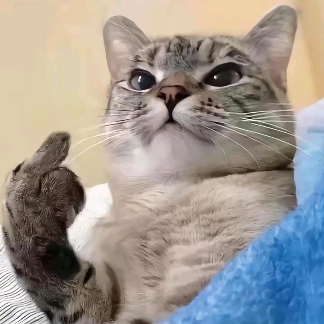 A9.