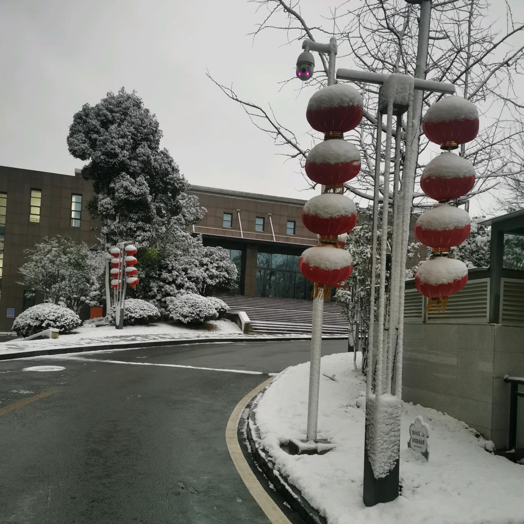 别动我的人