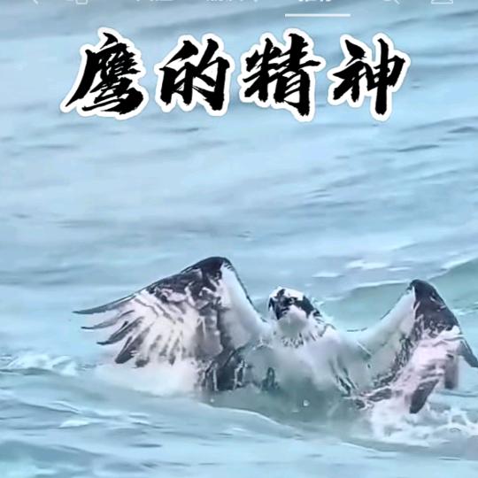 浩