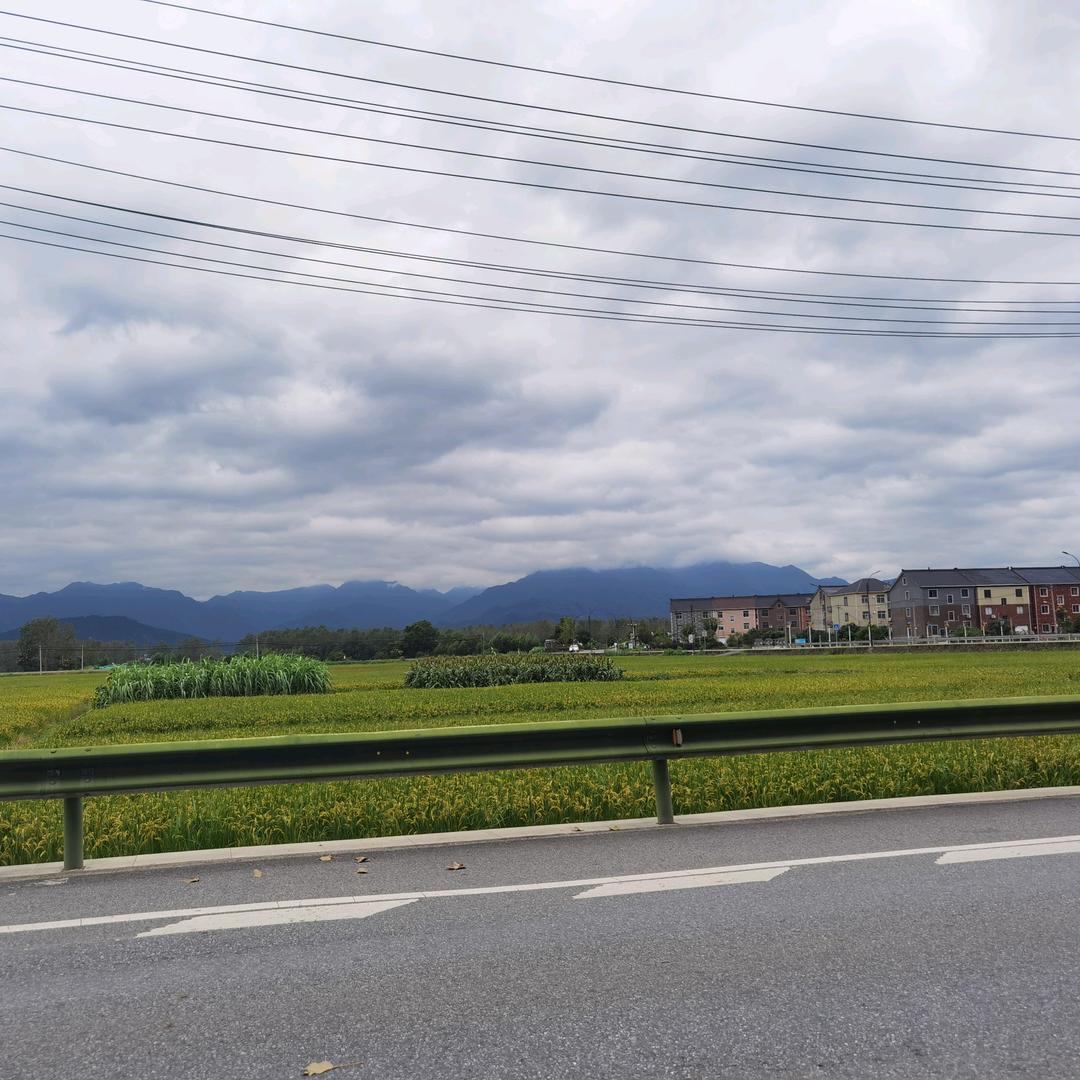 清菏