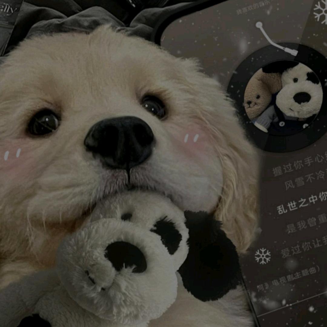 何其幸运遇见你