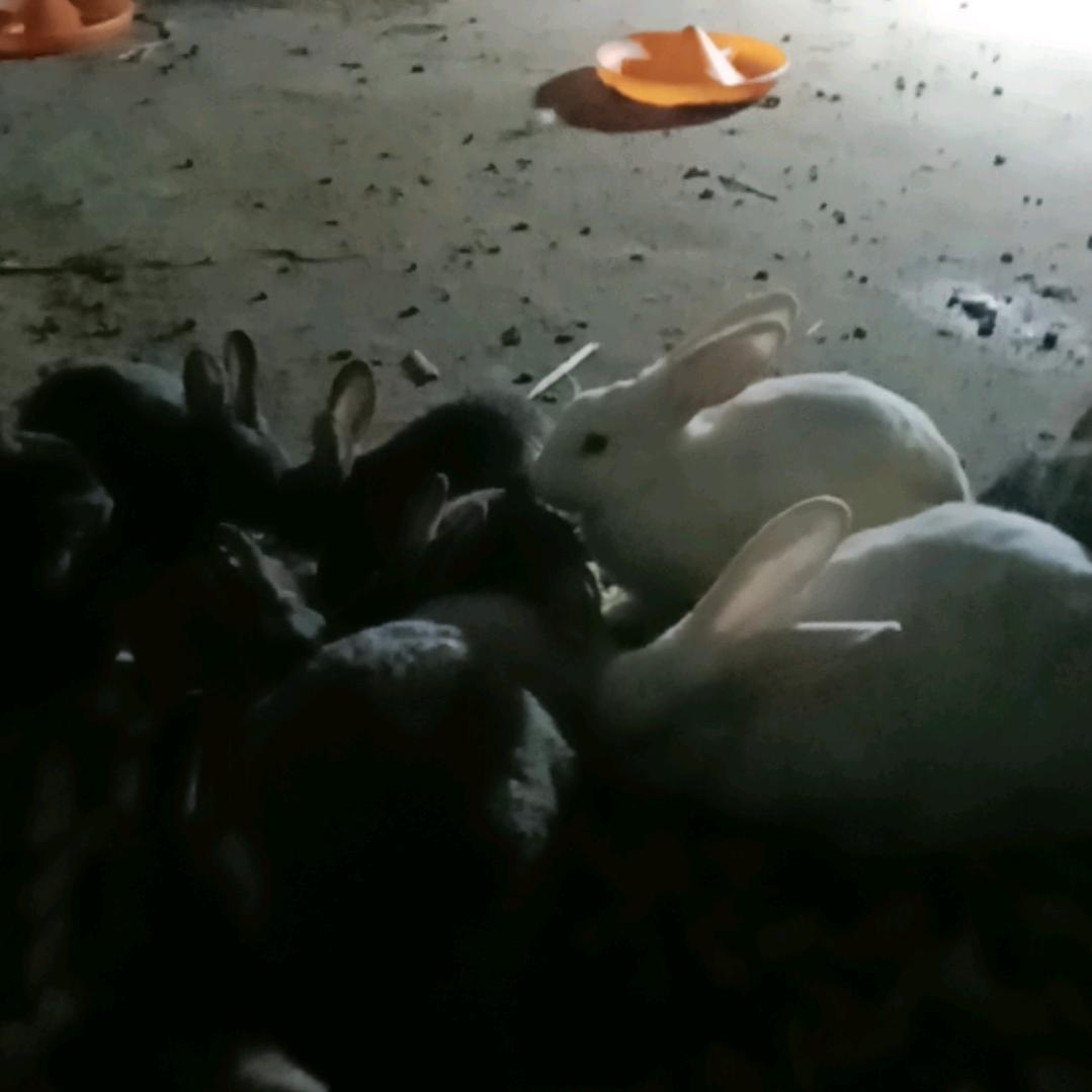 抱抱