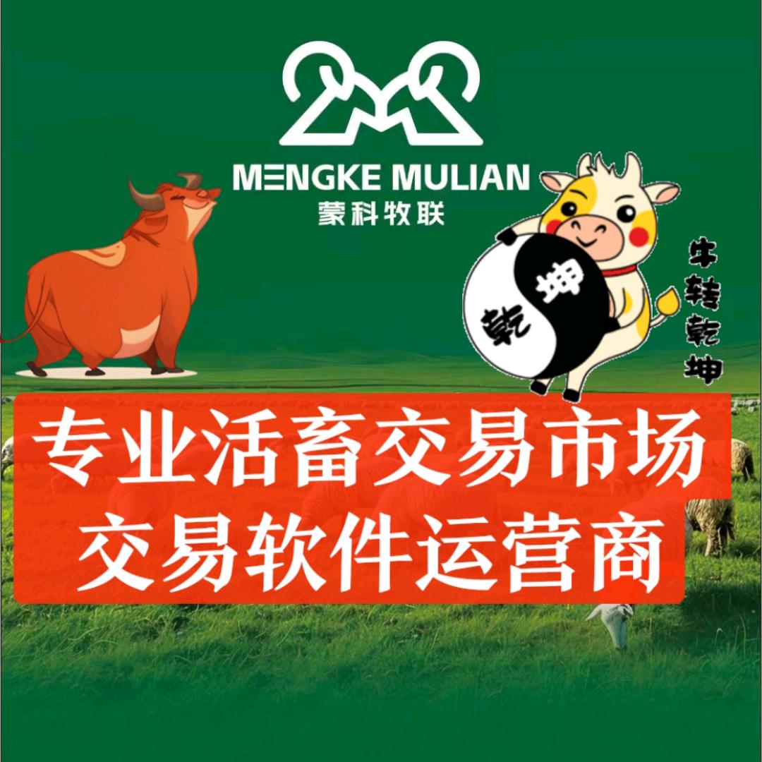 🇨🇳专业牛羊交易系统运营商☯