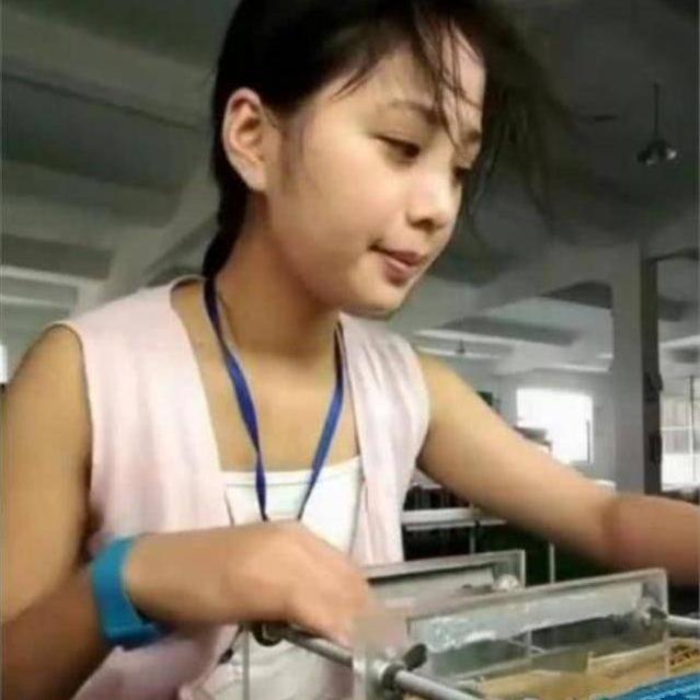 河南人力～肖