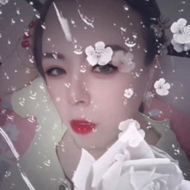 申请💅🏻