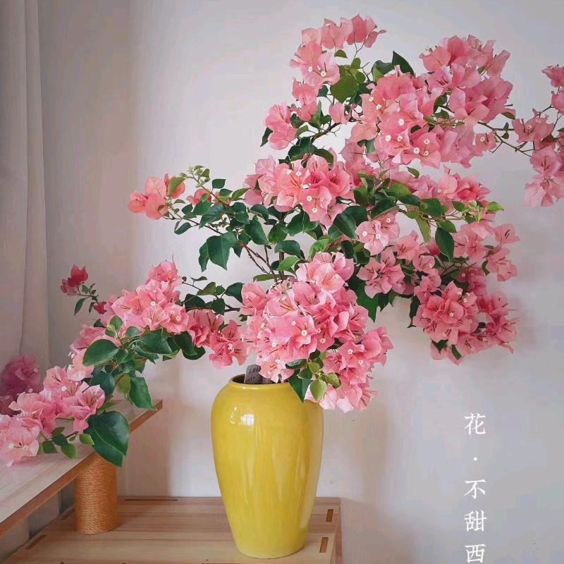 南亭卉悦