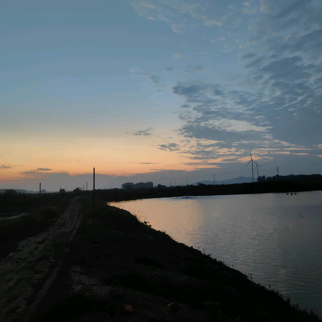 专业黄古鱼养殖