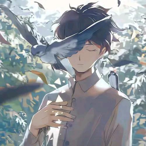 洛阳力能网络科技有限公司洛阳力能网络科技有限公司直播号