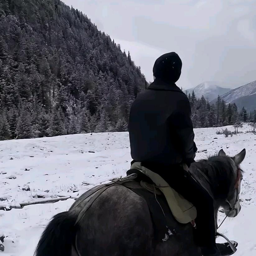 邢台邢金物流.湖北广东广西四川重庆专线