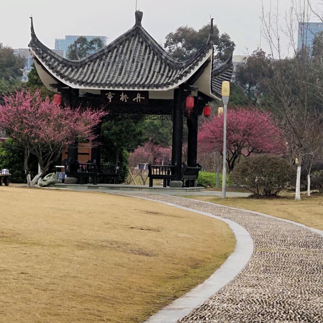 等待爱情等待你