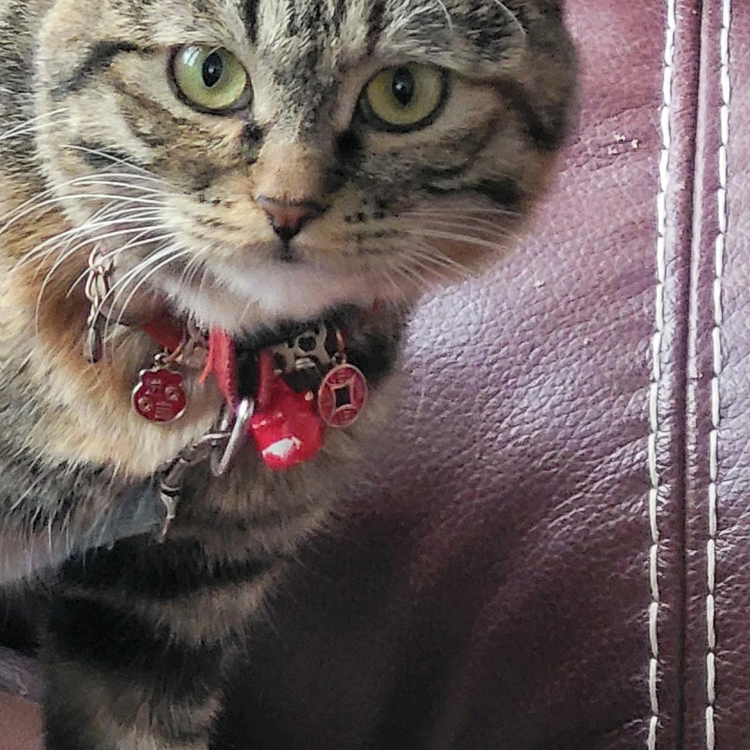 用户8436705642619真心爱人