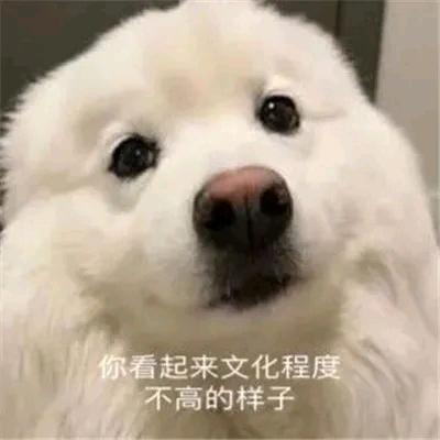 就是爱你忘不了