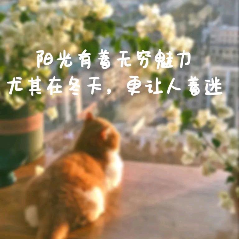 @刘