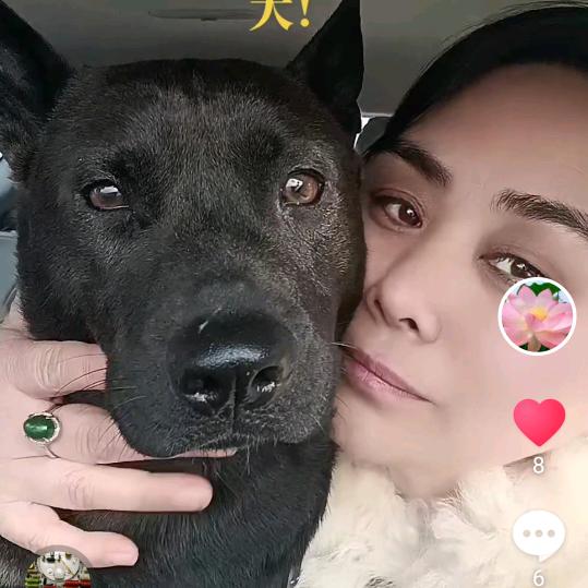 我家旺妞