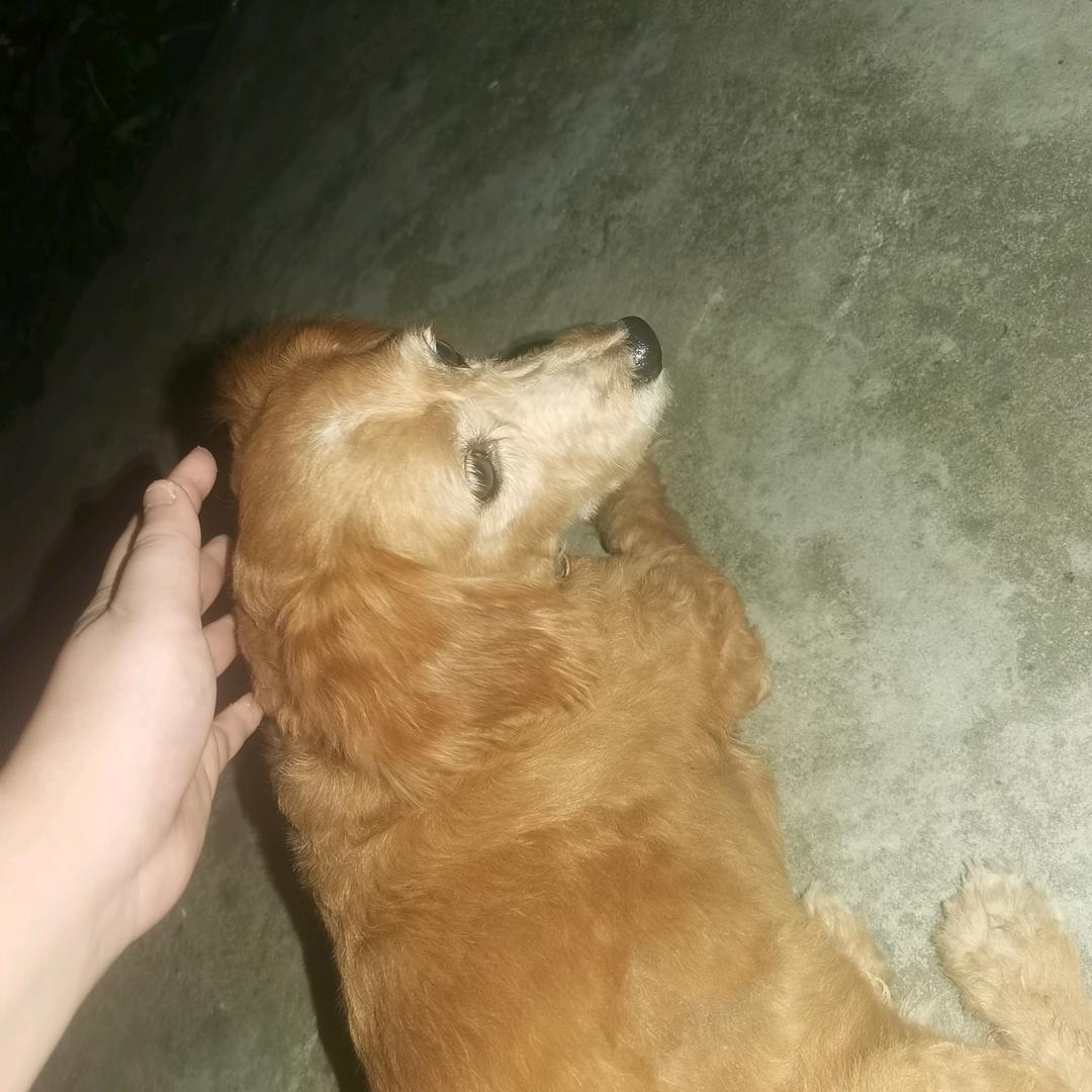 青春期撞上更年期