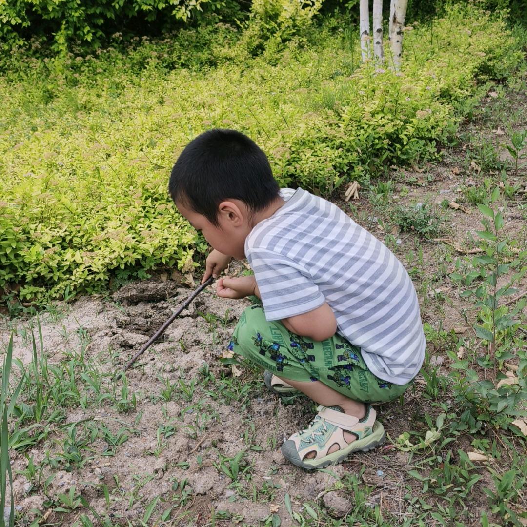 大毛妈妈