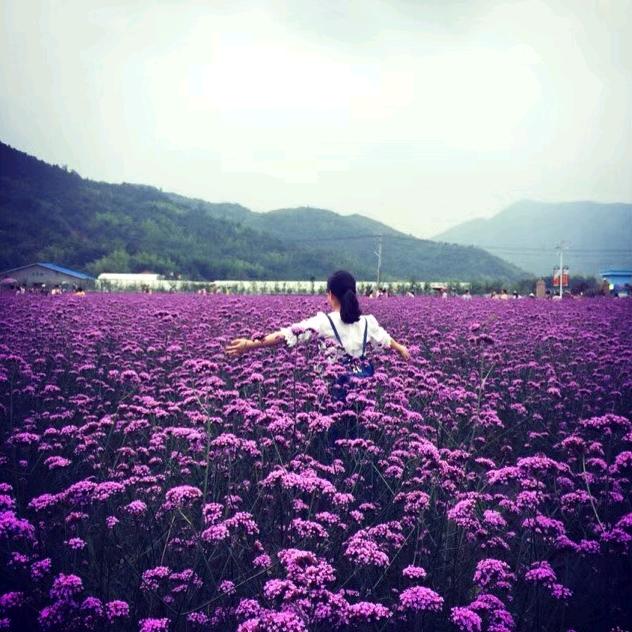 嵊州家具人~小石朵