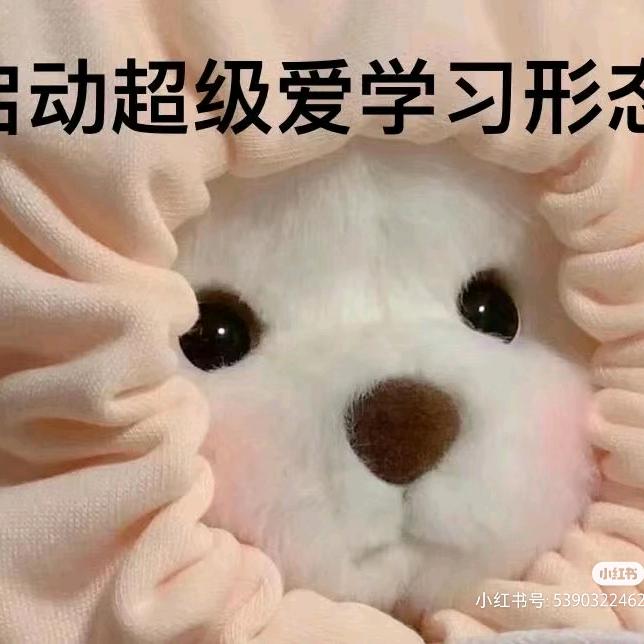 杏鲍菇二号