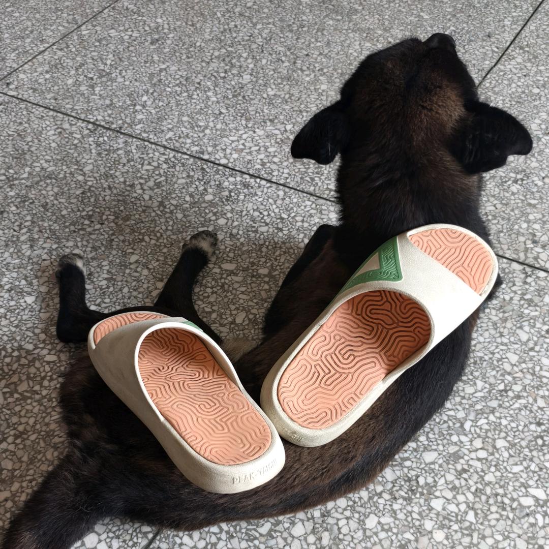 吃什么土扎粉
