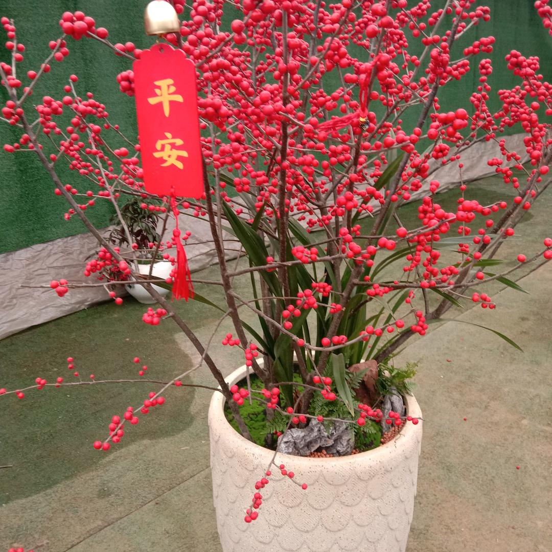 好好爱自己我的后半生