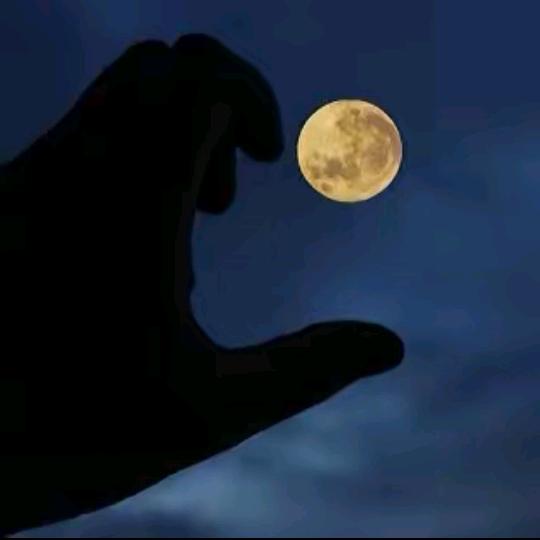 ♛♛ 阿 成 ♛♛