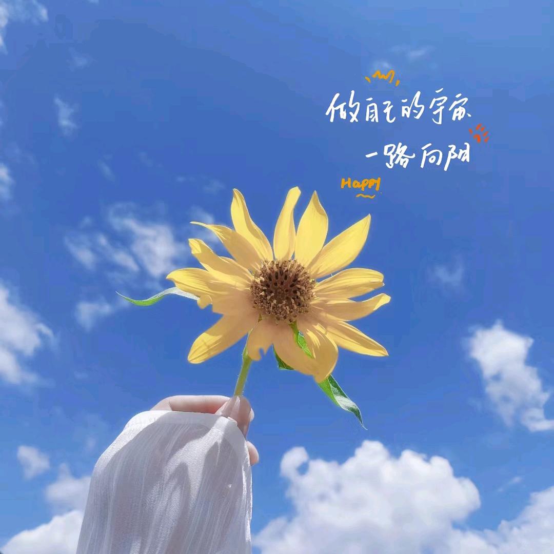 可可奶油