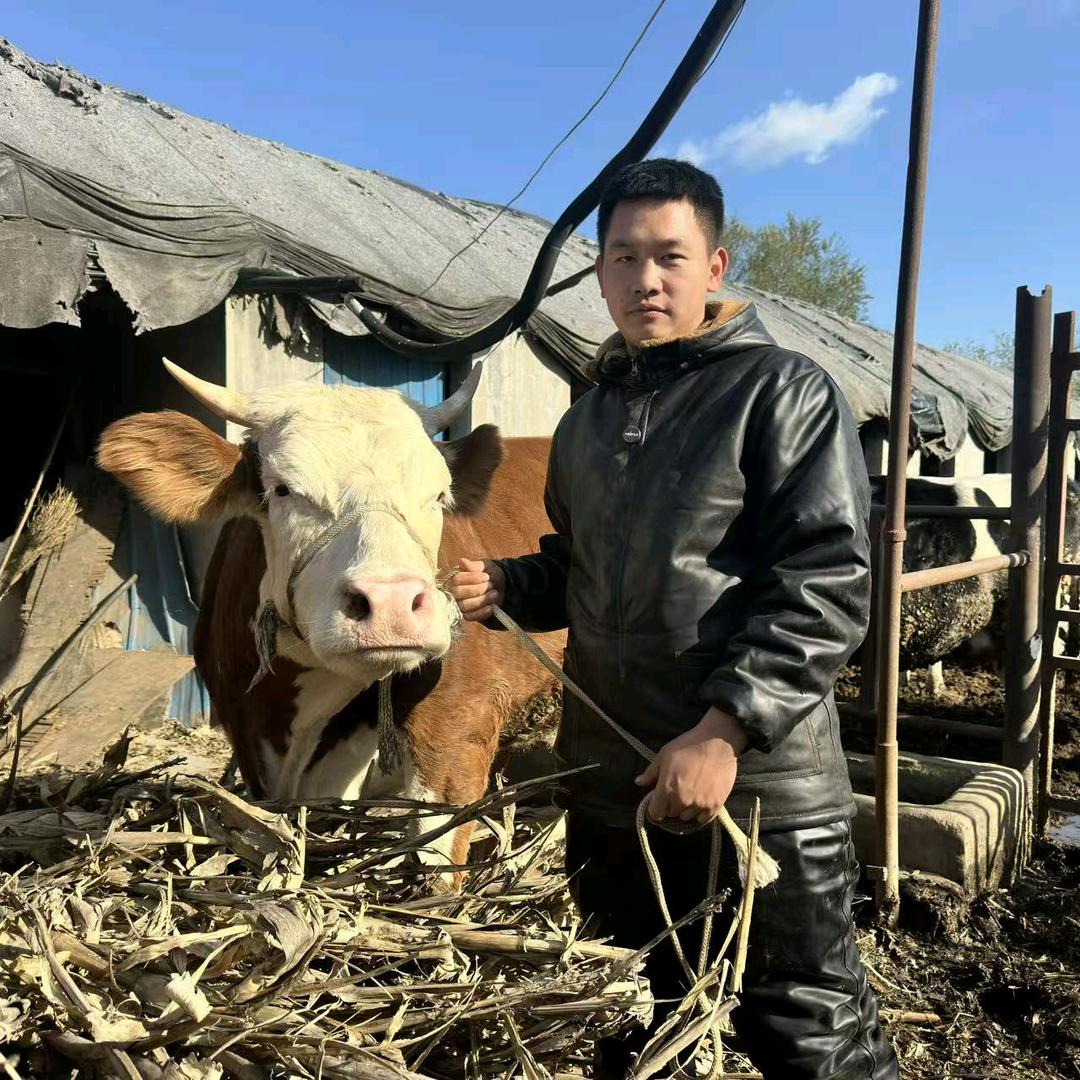 98年养牛小伙