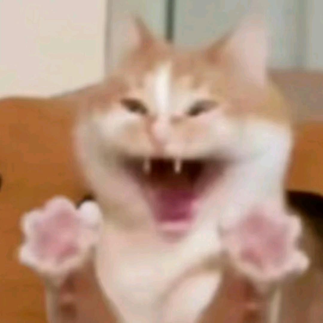 黑衣炸鸡 许昊龙