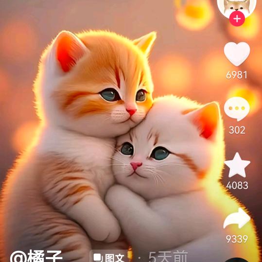 人生如初见