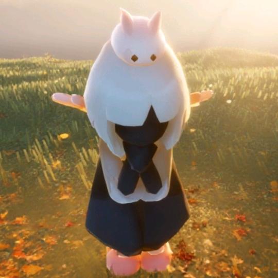 ✨