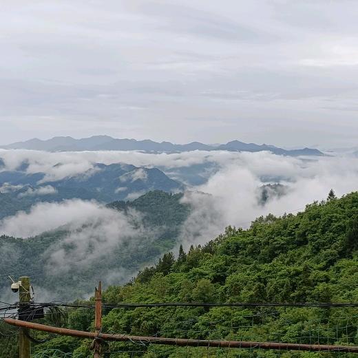 竹山钢材批发