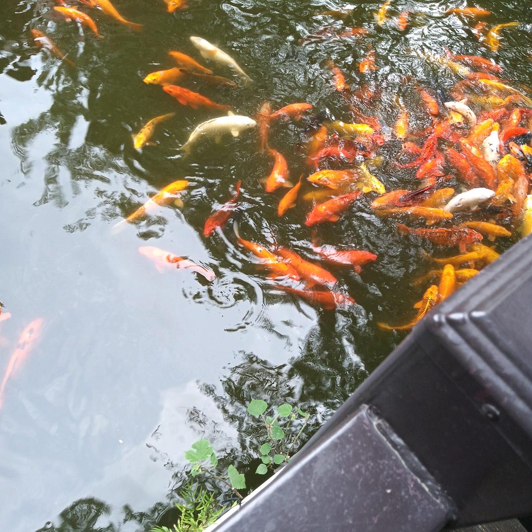 A.O.史密斯冷暖风水合肥经销商服务商