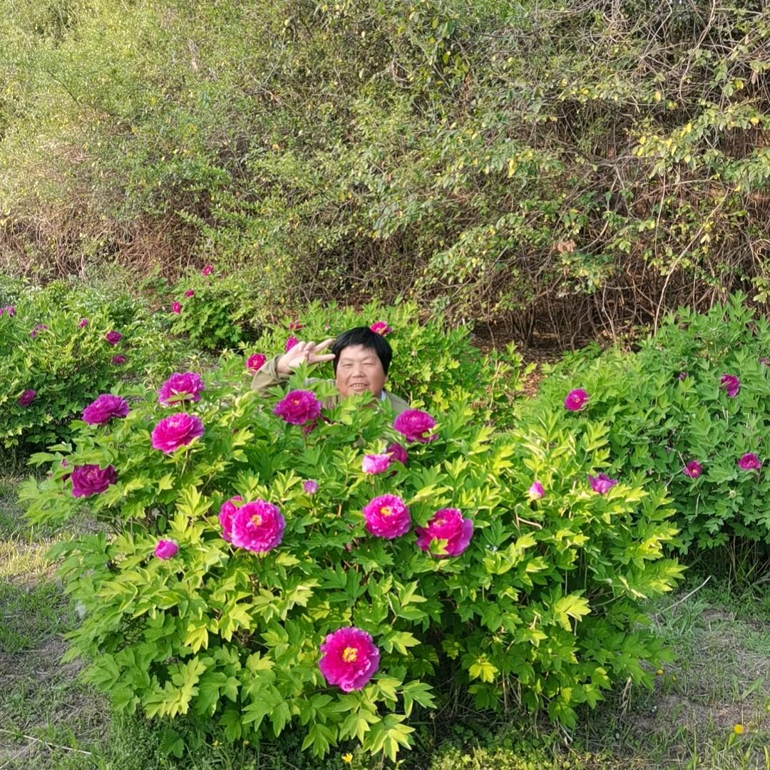平安幸福
