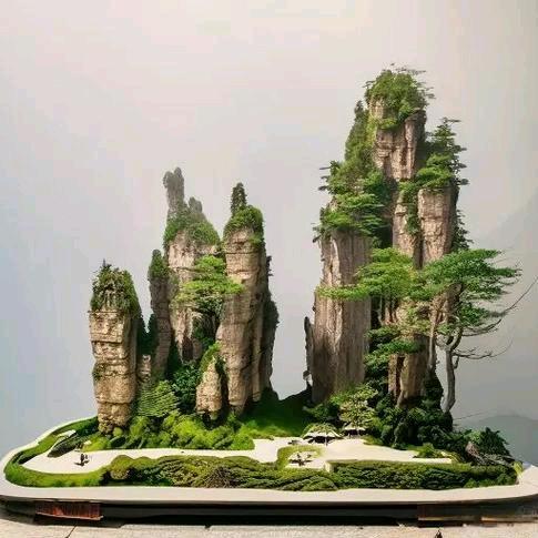 娟子吸水石园艺