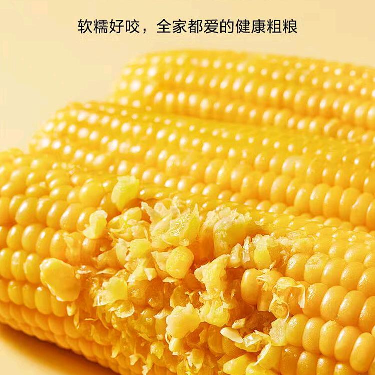 笮悦惠文传媒-小黄