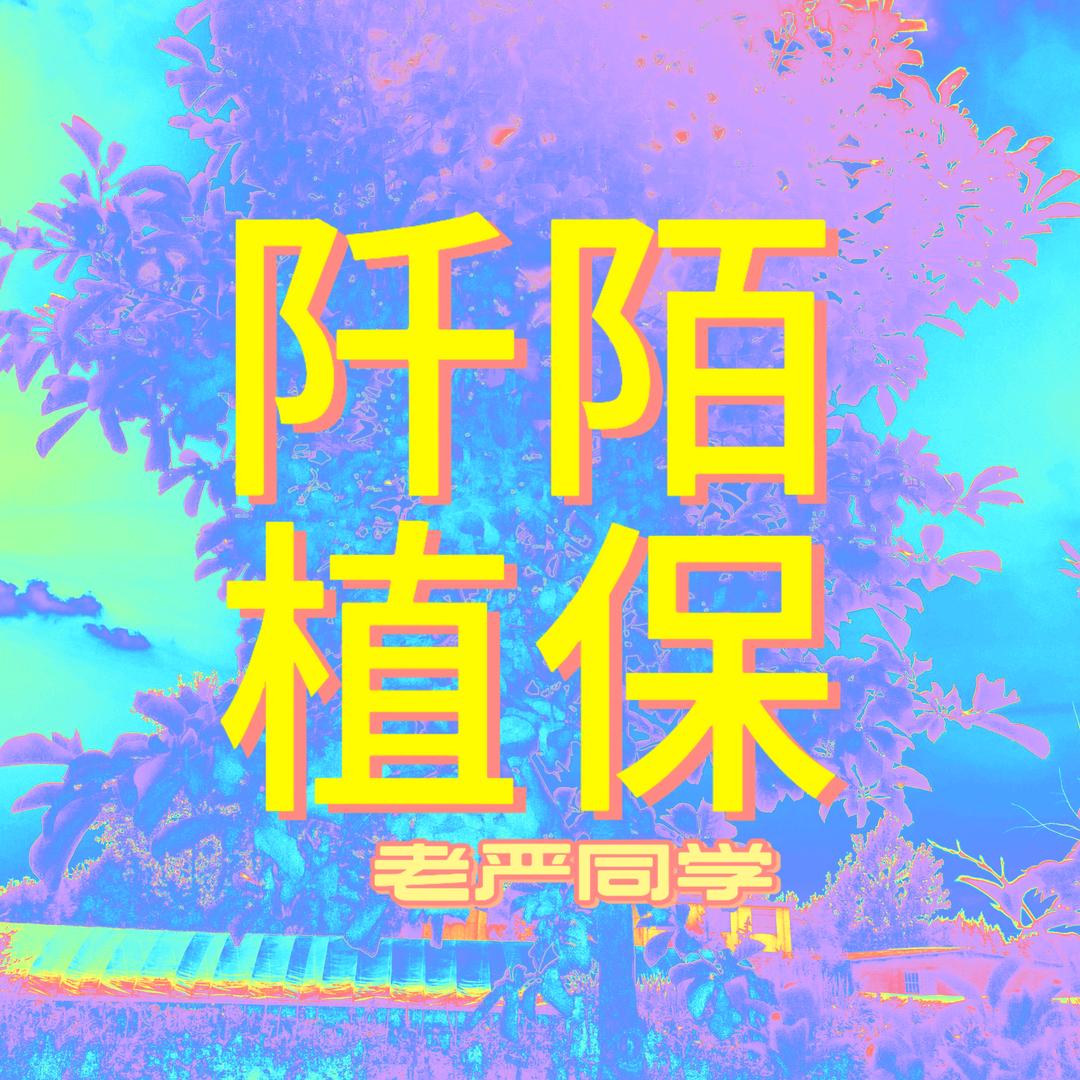 严冰舒-阡陌行者