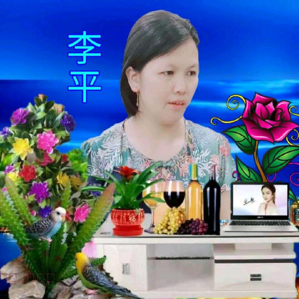 心好累不想说话李平19508575748