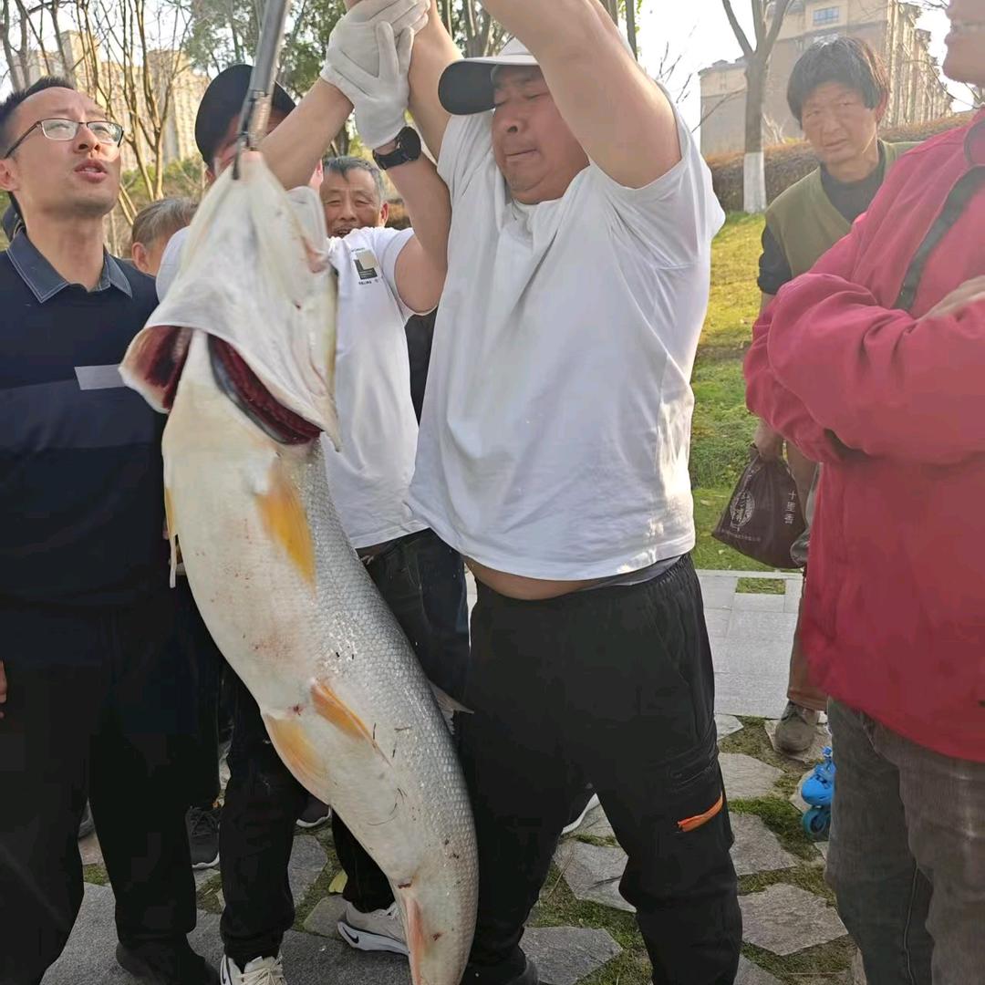 闲人小钟（路亚）