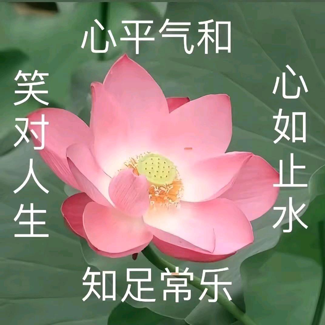 上岸丫！•ᴗ•